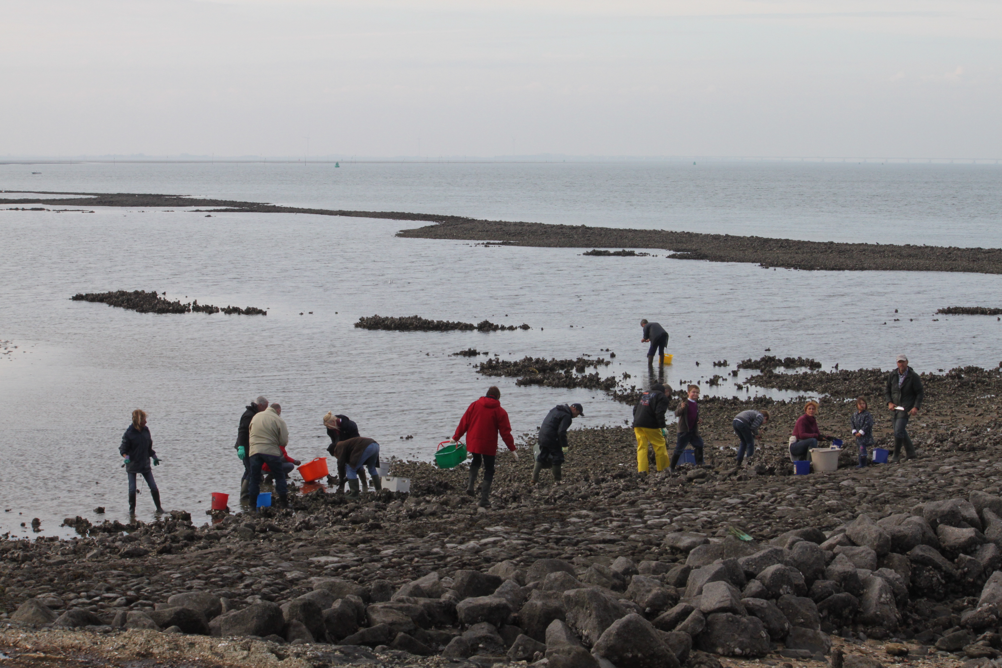 Pêche 2011